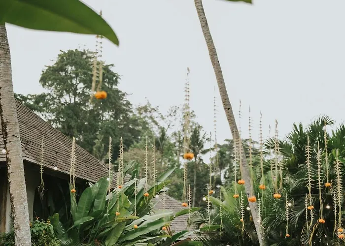Bedulu Cliff Estate - Tree Villa *